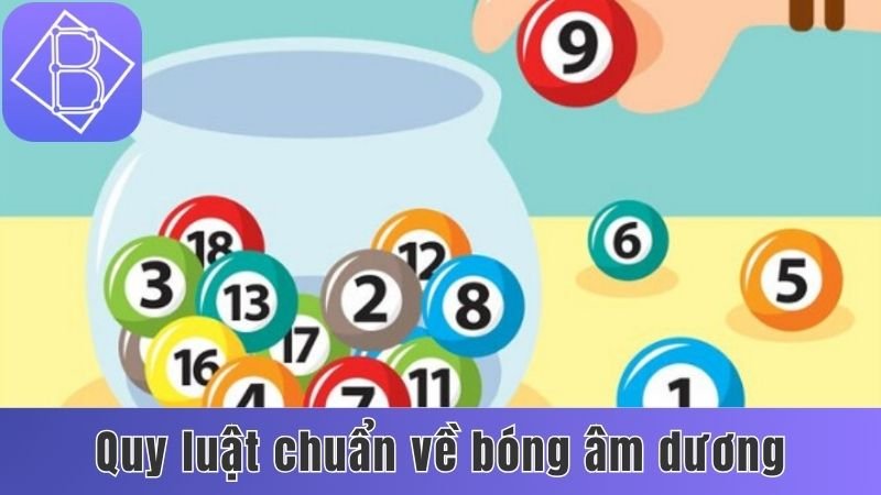 Quy luật chuẩn về bóng âm dương